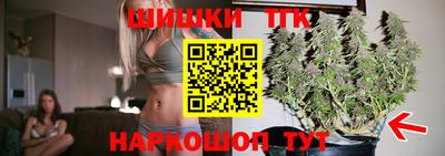 твердый Камышлов